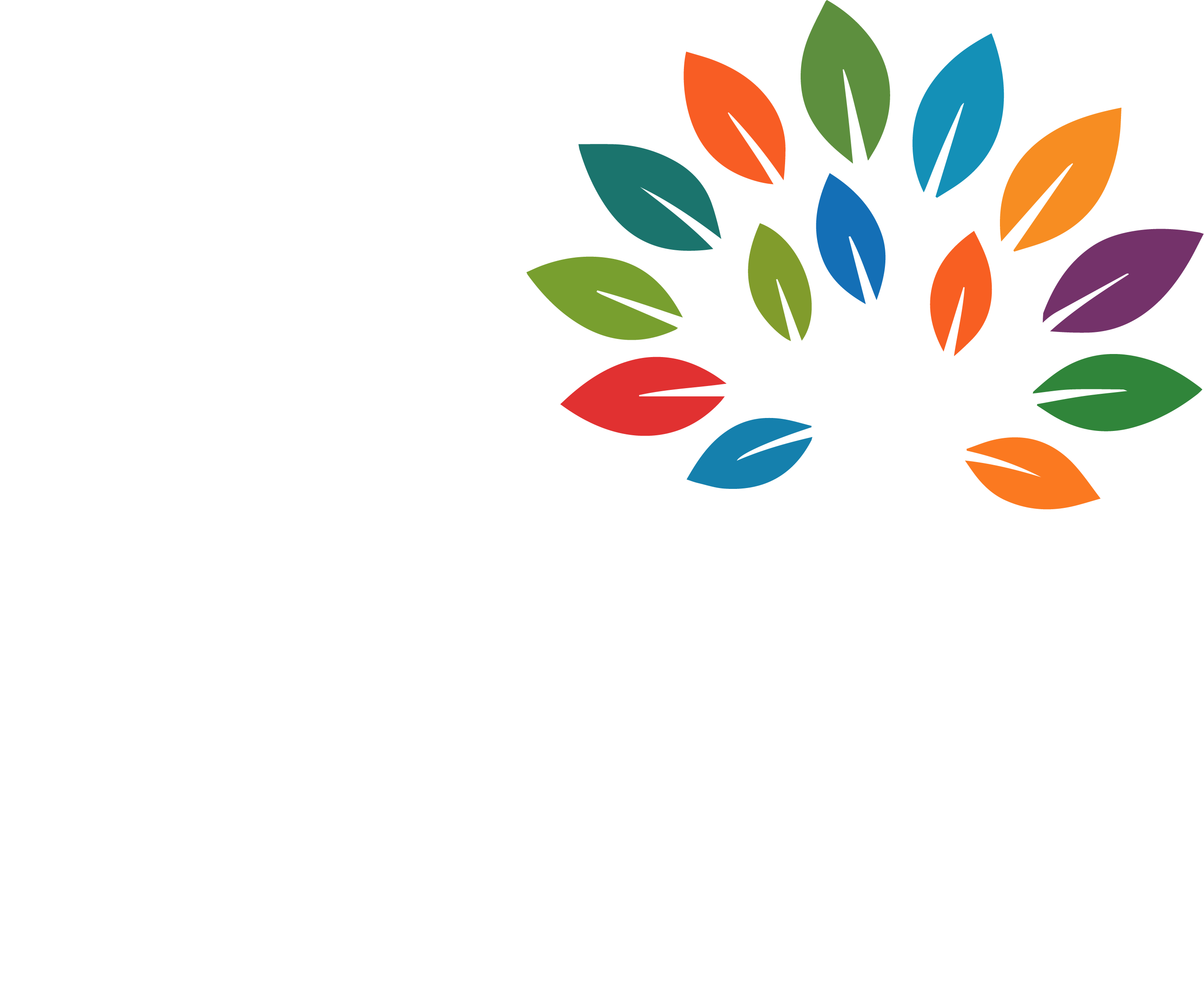 Eila Solutions logo