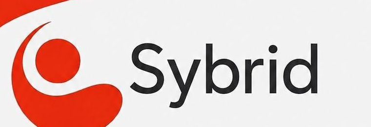 Sybrid logo